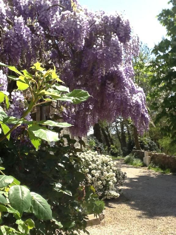 La Ferme De Kerraoul Bed & Breakfast Combrit Bagian luar foto
